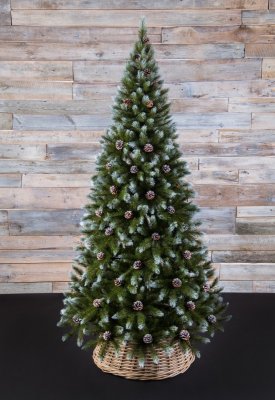 Ель Triumph Tree Женева с шишками заснеженная