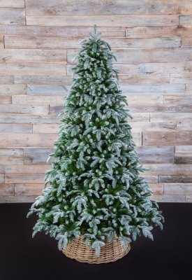 Ель Triumph Tree Нормандия пушистая заснеженная