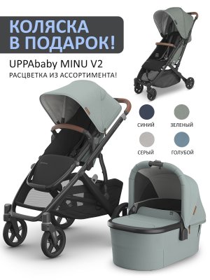 Коляска 2 в 1 UPPAbaby VISTA V3