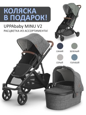 Коляска 2 в 1 UPPAbaby VISTA V3 Greyson