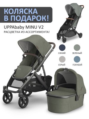 Коляска 2 в 1 UPPAbaby VISTA V3 Evelyn