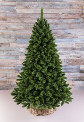 Ель Triumph Tree Норд зелёная