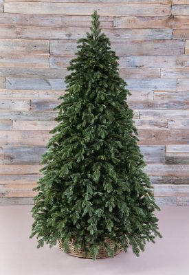 Ель Triumph Tree Царская зеленая