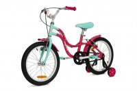Детский велосипед Pifagor IceBerry 16 3
