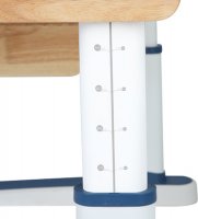 Комплект Mealux парта Oxford Wood Max (BD-920) + кресло Ergoback (Y-1020) 4