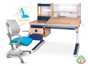 Комплект Mealux парта Oxford Wood Max (BD-920) + кресло Ergoback (Y-1020) столешница дерево, накладки синие 