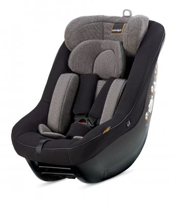 Детское автокресло Inglesina Darwin Next Stage i-Size