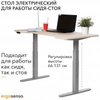 Электрический стол Ergosenso-109 7